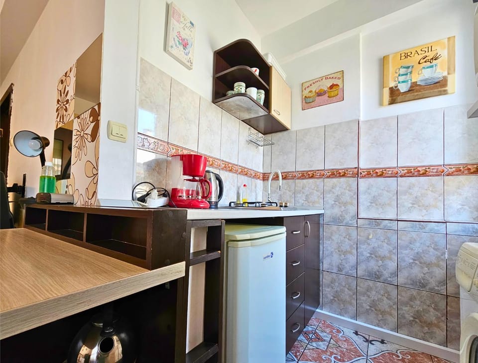 dishwasher, minibar, oven