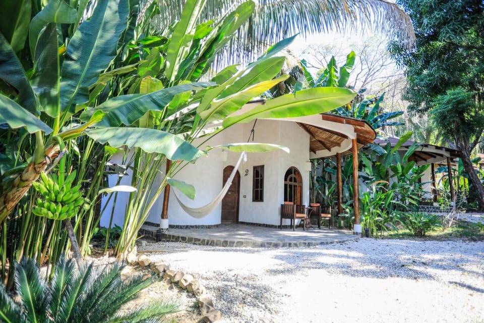 Property building, Patio, Facade/entrance, Garden