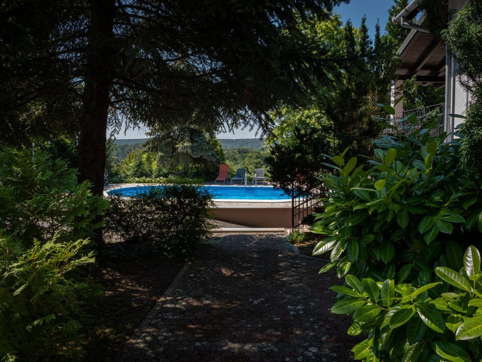 Day, Garden, Garden view, Pool view, Swimming pool