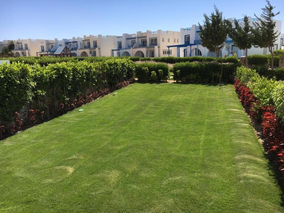 Garden, Garden