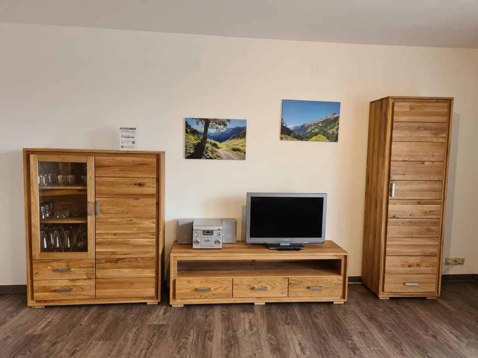 TV and multimedia