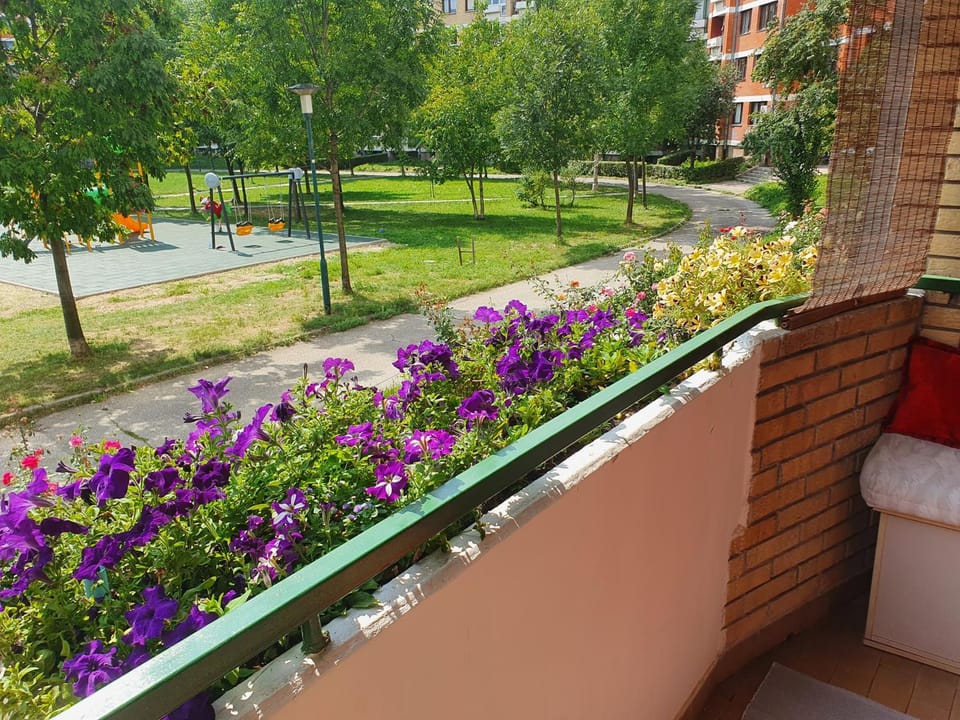 Children play ground