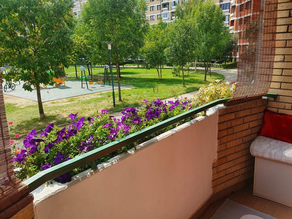 Children play ground