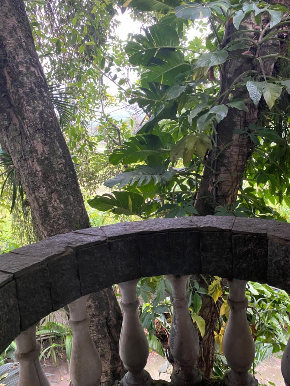 View (from property/room), Balcony/Terrace