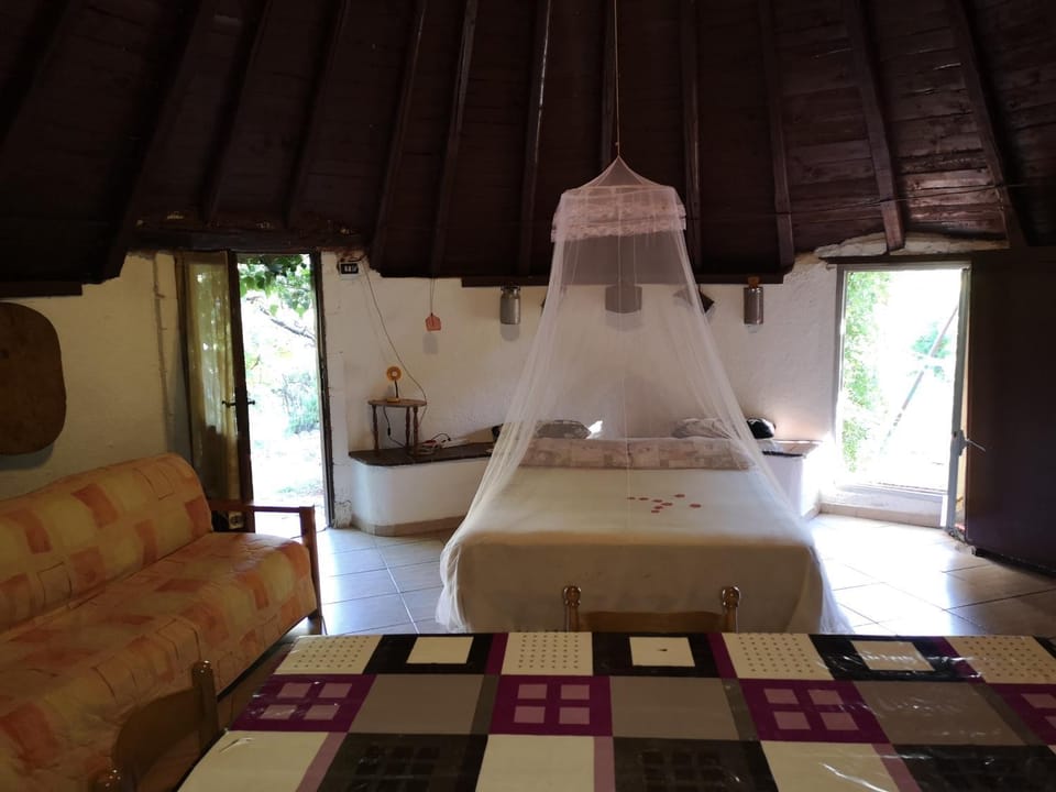 Bed, Living room, Photo of the whole room, Seating area, Dining area, Bedroom