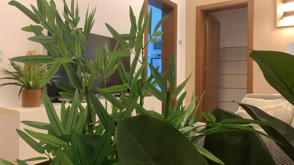 Palco 105 Apartment in Macerata