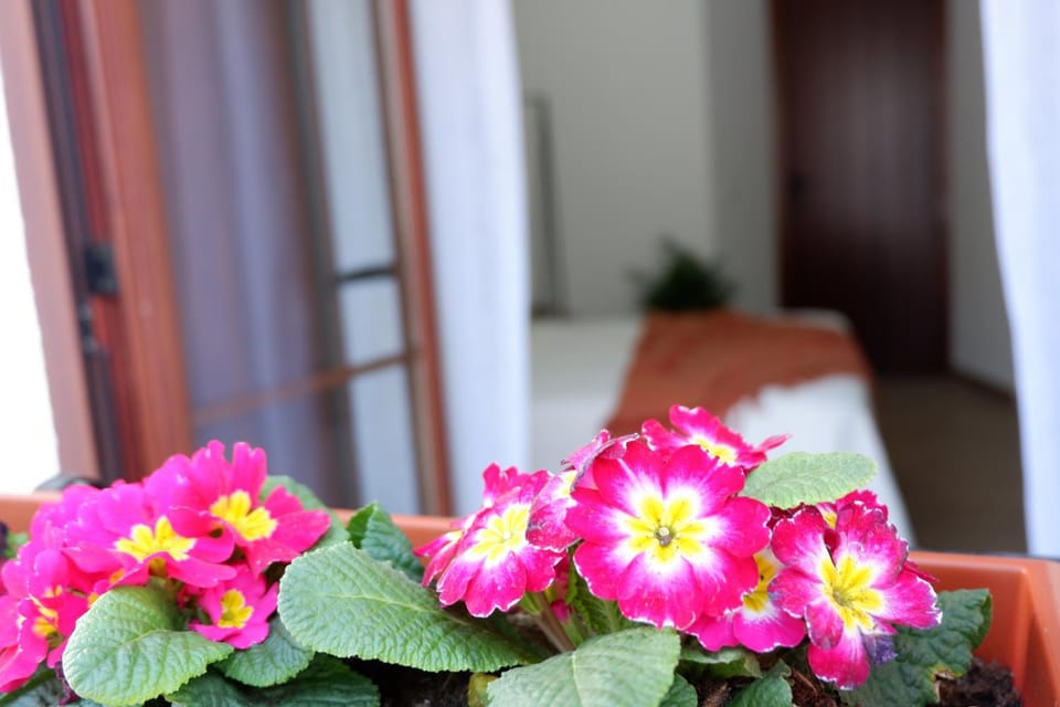 La casita de Lineros Bed and Breakfast in Cordoba