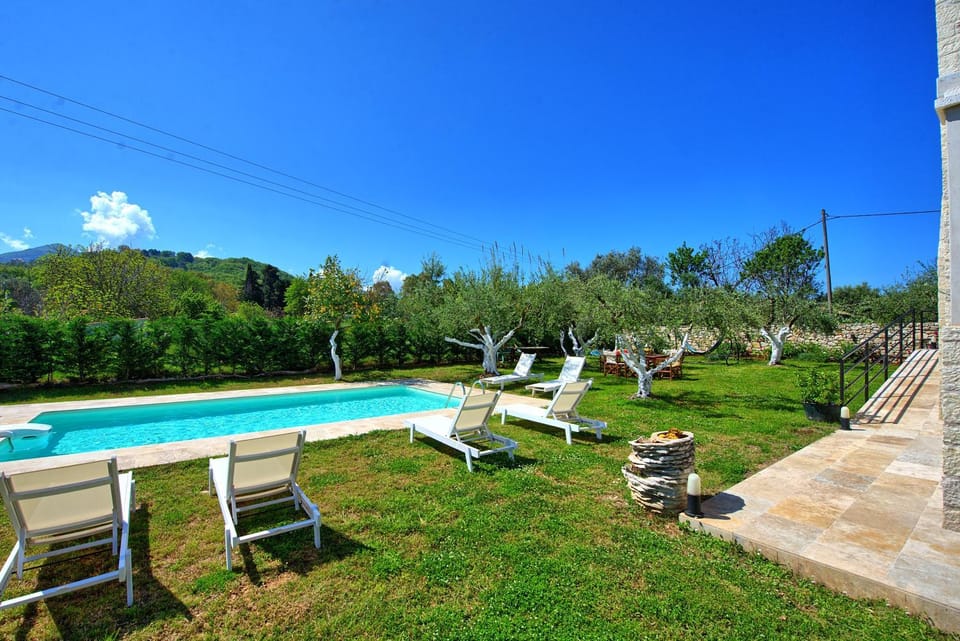 Garden, Garden view, Swimming pool