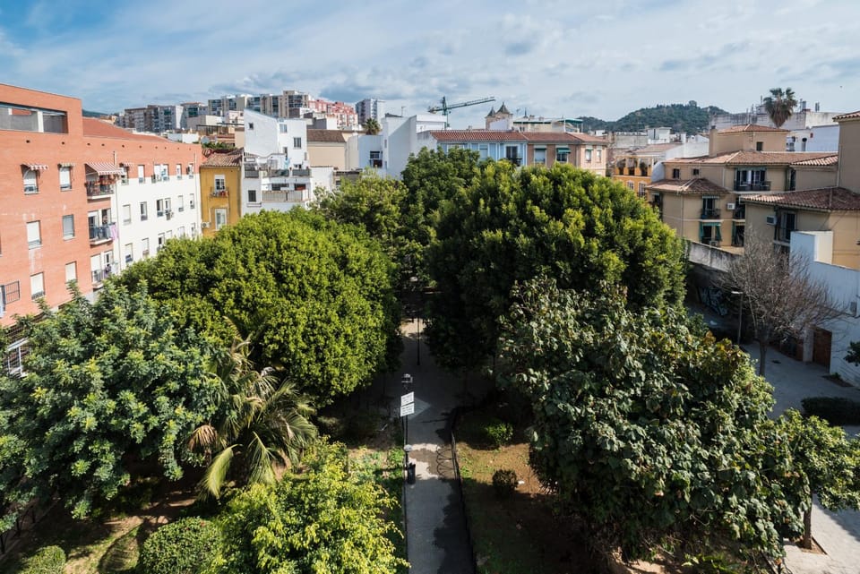 Neighbourhood, City view
