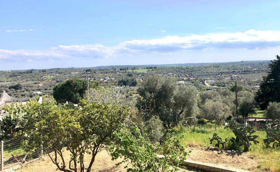 View (from property/room), City view, Garden view