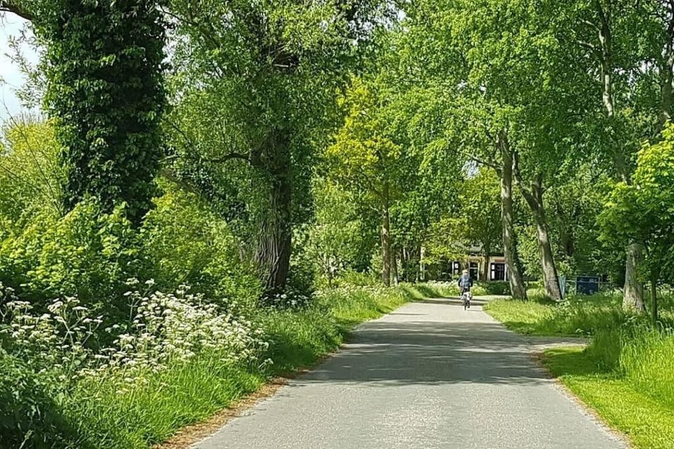 Lovely Studio with Patio and Garden House in Burgh-Haamstede