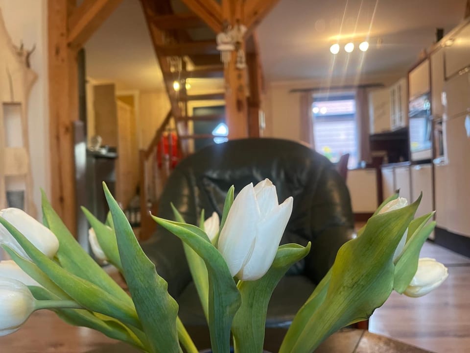 Living room, Lounge or bar