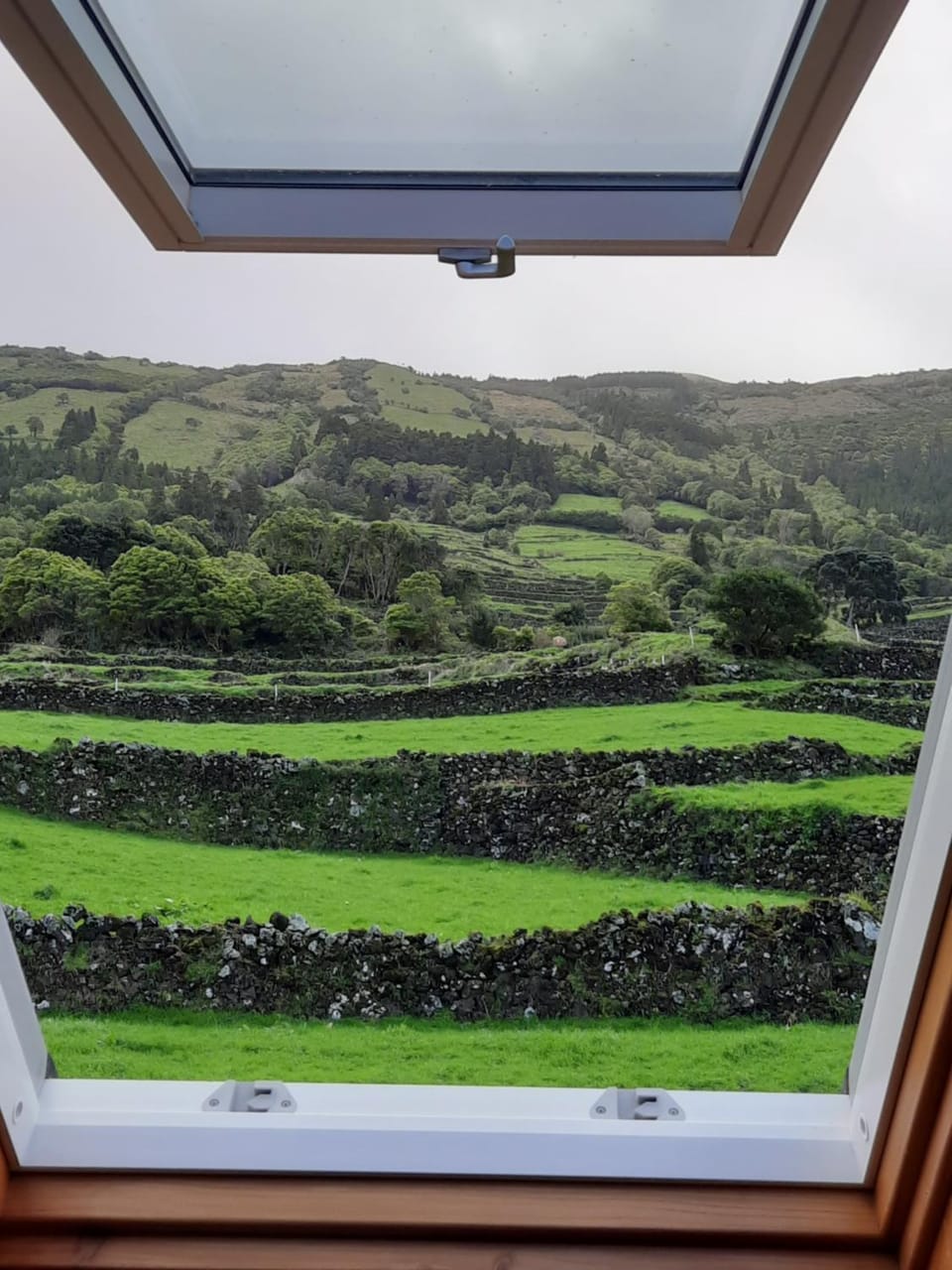 Natural landscape, View (from property/room)