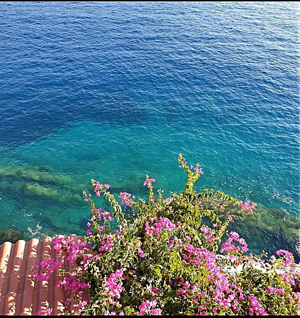 View (from property/room), Landmark view, Sea view