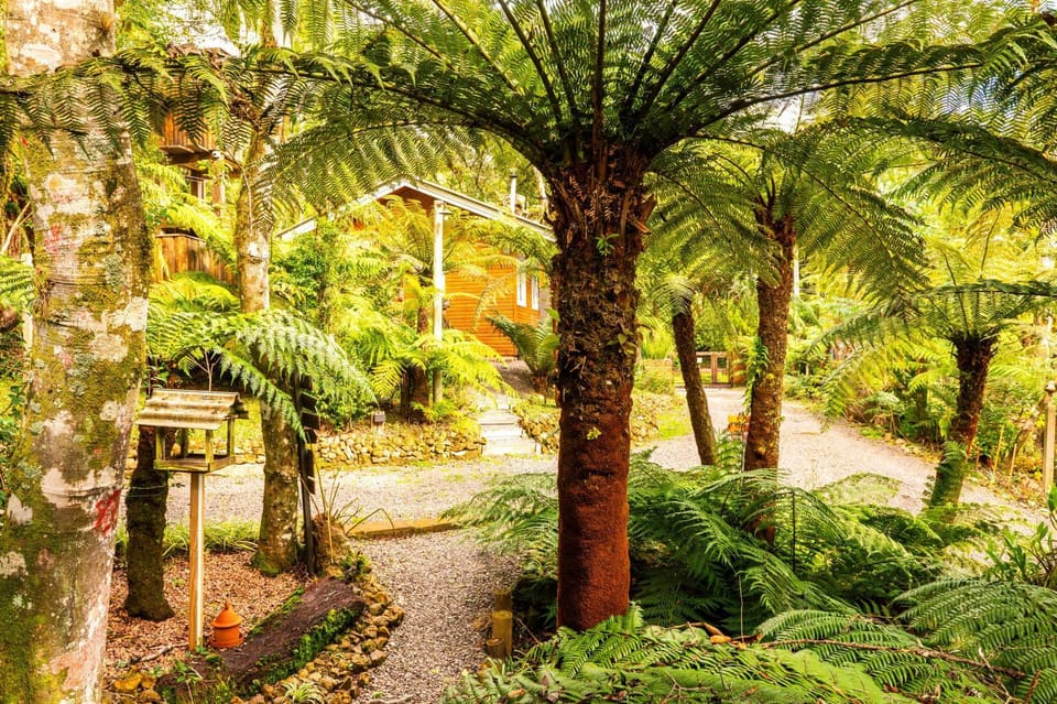 Day, Natural landscape, Garden, Garden view
