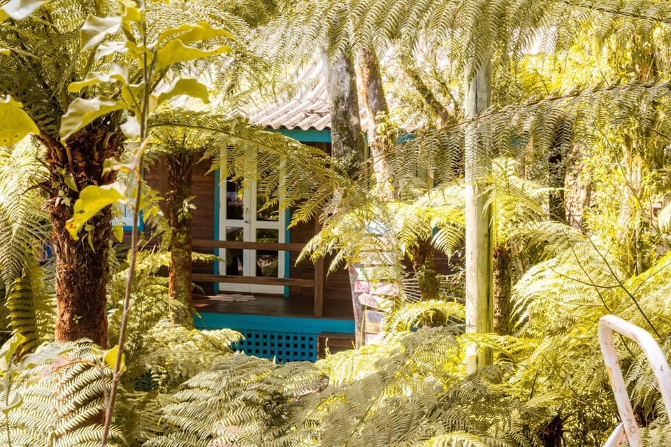 Day, Natural landscape, Garden, Garden view