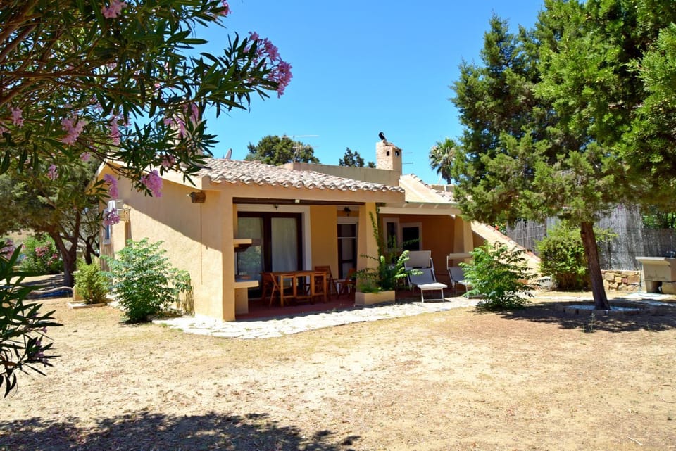 Property building, Day, Garden