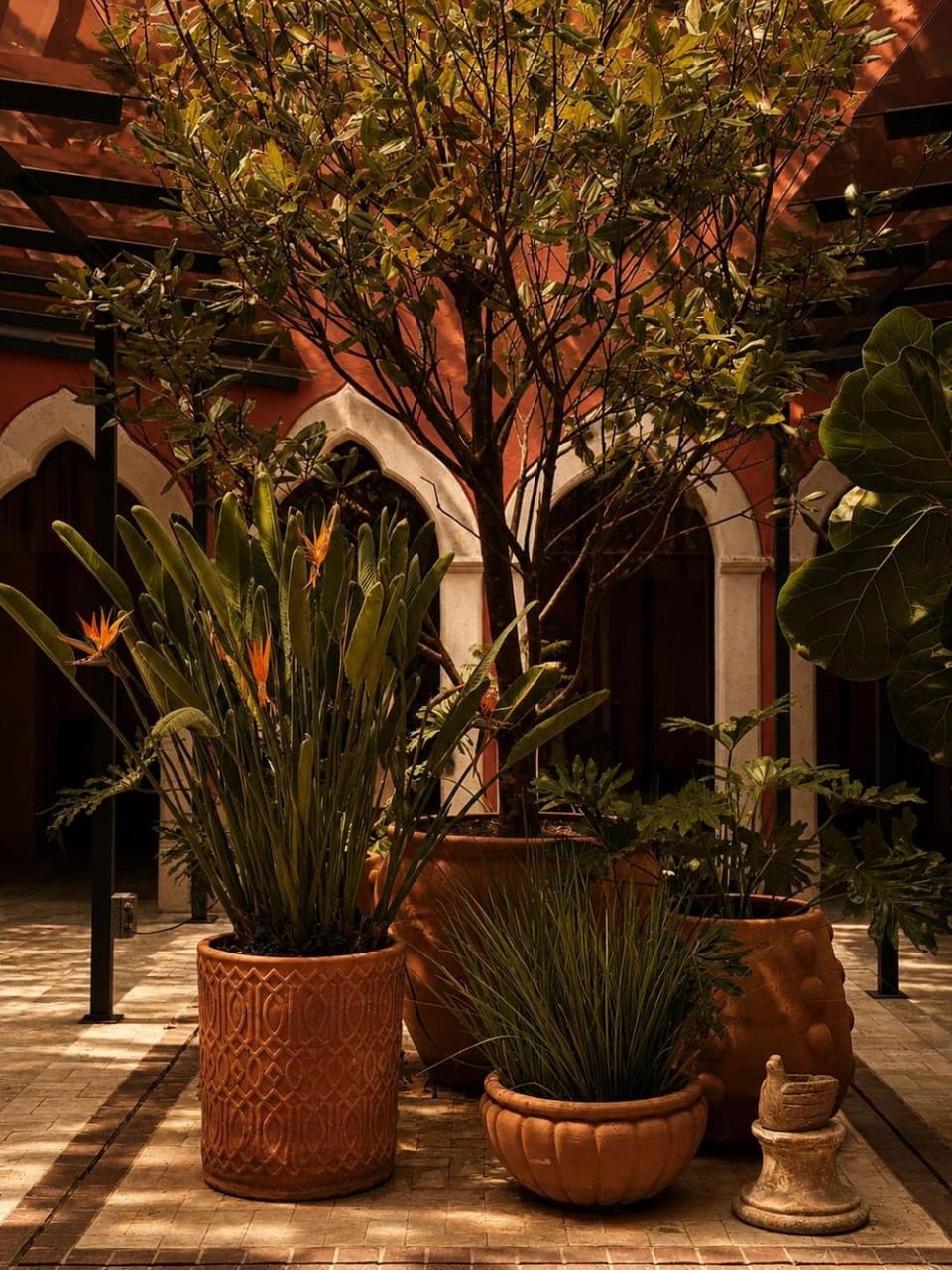 CASA DAMIANA Apartment in State of Guanajuato