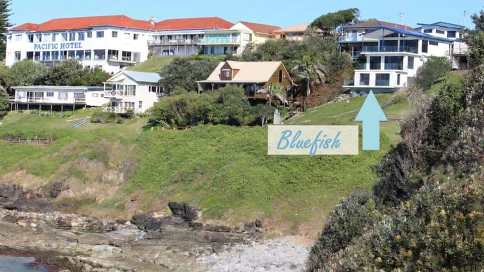 Bluefish - Lifestyle Yamba Apartment in Yamba