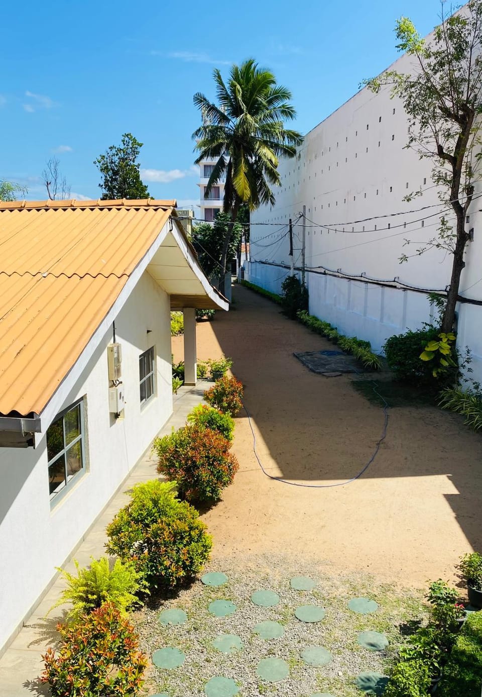 Garden view