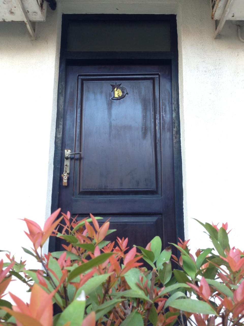 Mary Land Beach Hotel Bed and Breakfast in Negombo