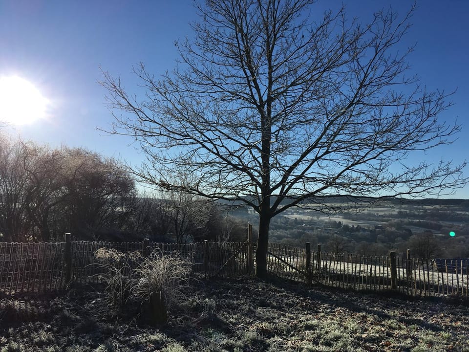 Winter