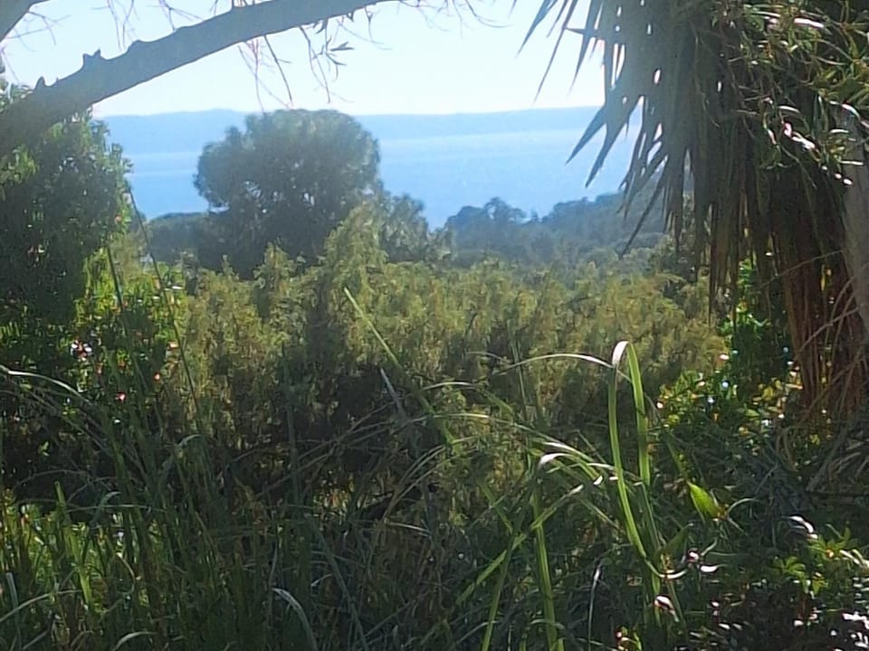 Massacan-Vue Mer Bed and Breakfast in Le Lavandou