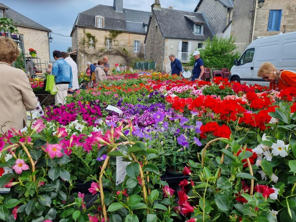 Spring, Shopping Area