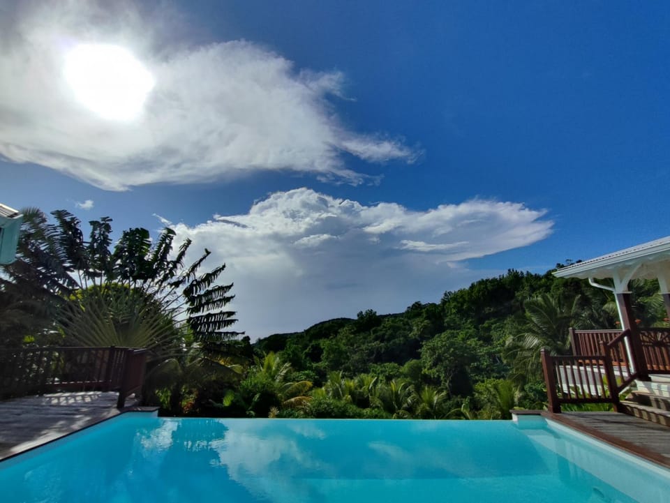 Natural landscape, Swimming pool, sunbed