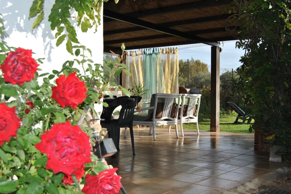 Garden, Balcony/Terrace, Dining area