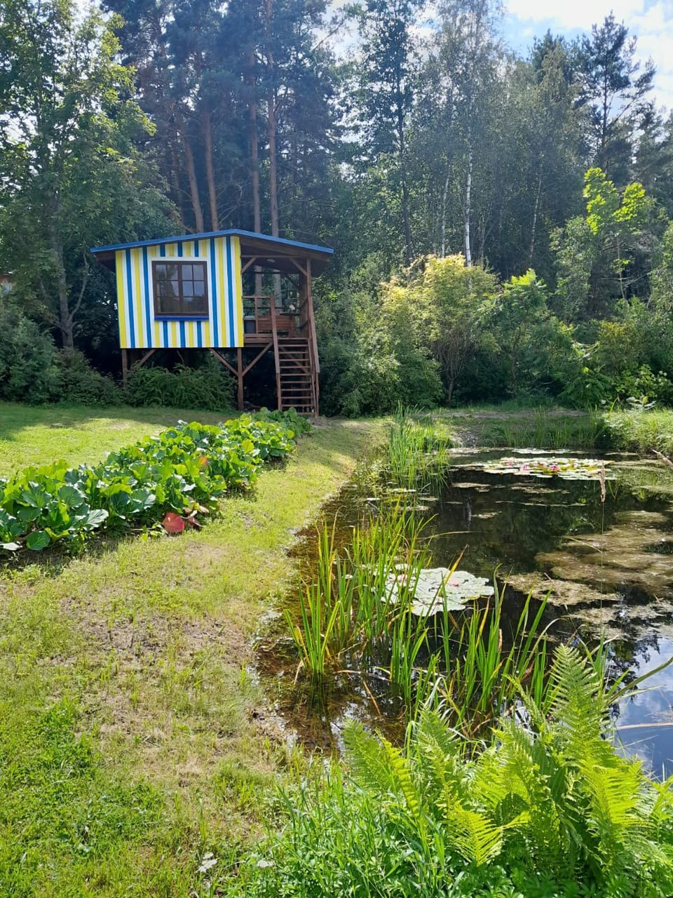 Garden view