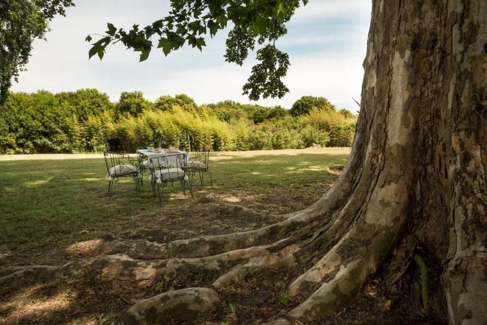 Natural landscape