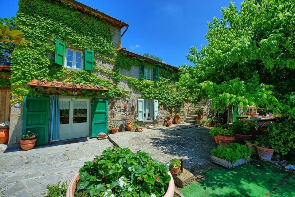 Property building, Garden
