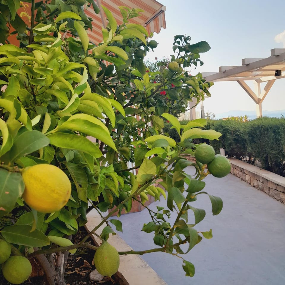 Apartments Dobrila Bed and Breakfast in Dubrovnik-Neretva County