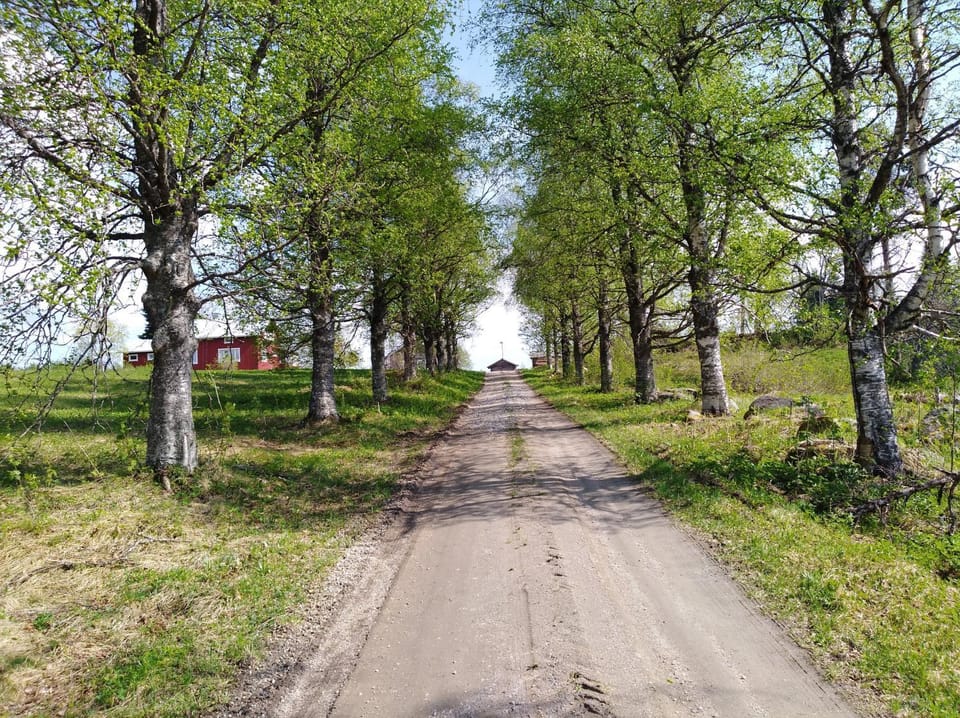 Natural landscape, Garden, Hiking, Cycling