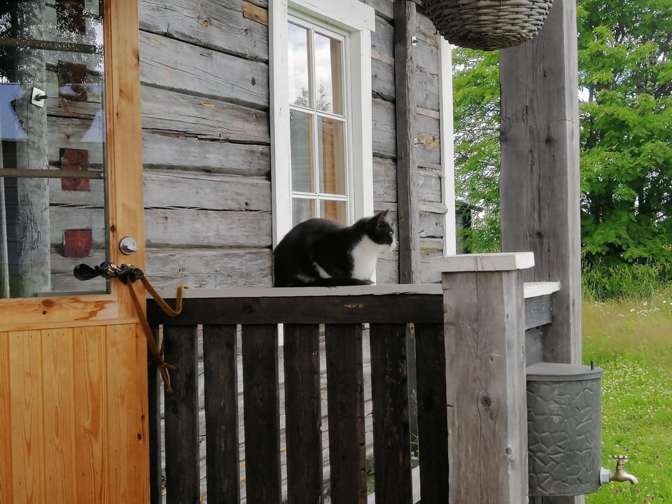 Property building, Patio, Facade/entrance, Day, Pets