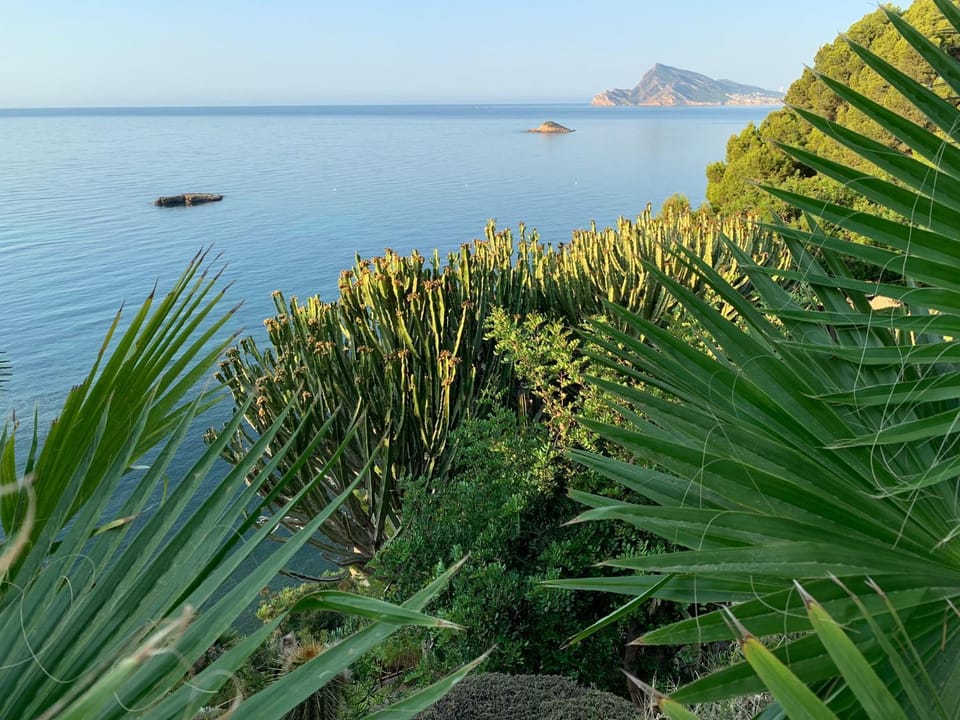 Sea view