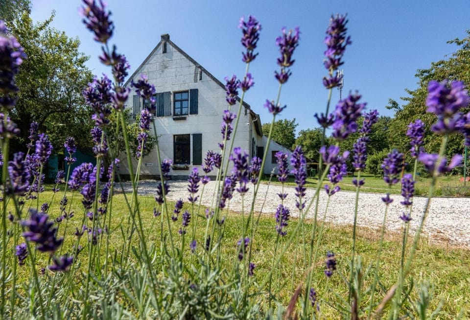 B&B Op de Soursehof Bed and Breakfast in Limburg (province)