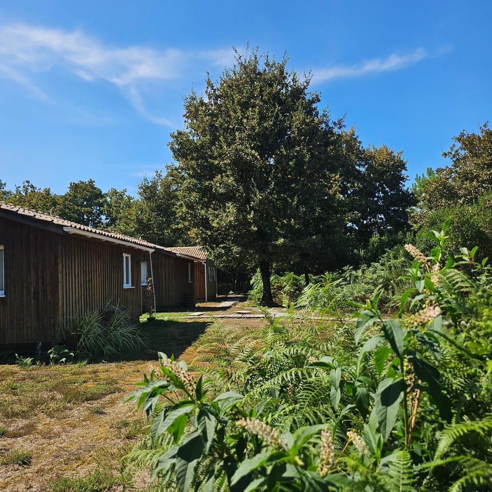 AE village Chalet in Parentis-en-Born