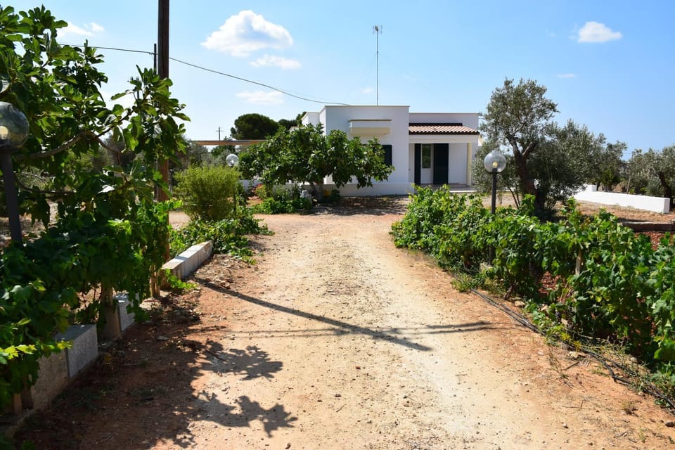 Property building, Facade/entrance, Garden