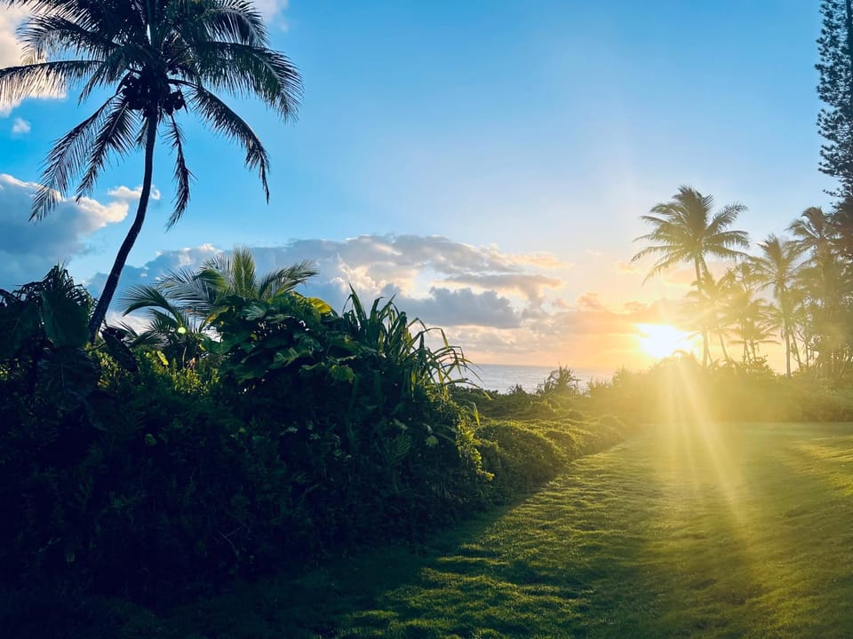 Natural landscape, Sunrise