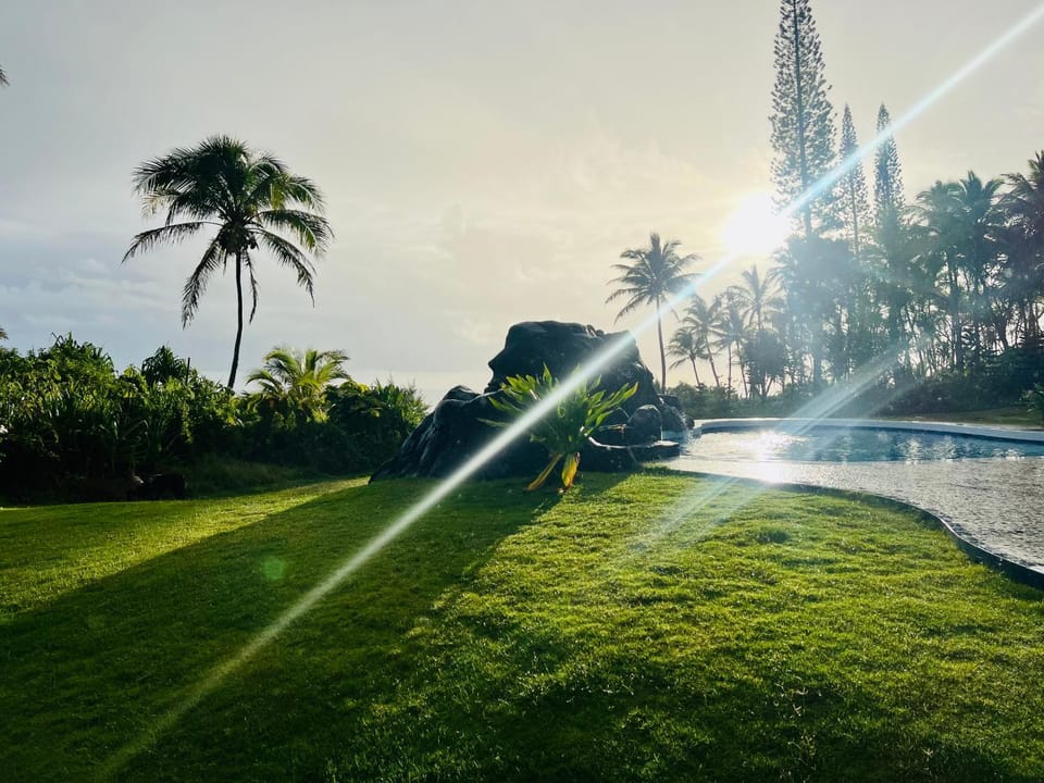 Garden view