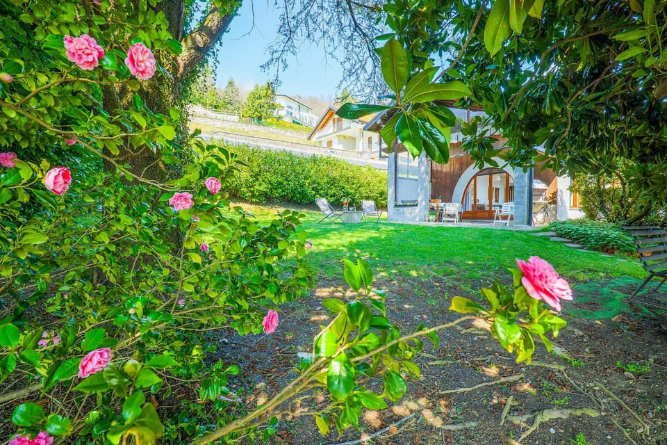 Property building, Garden, Garden view