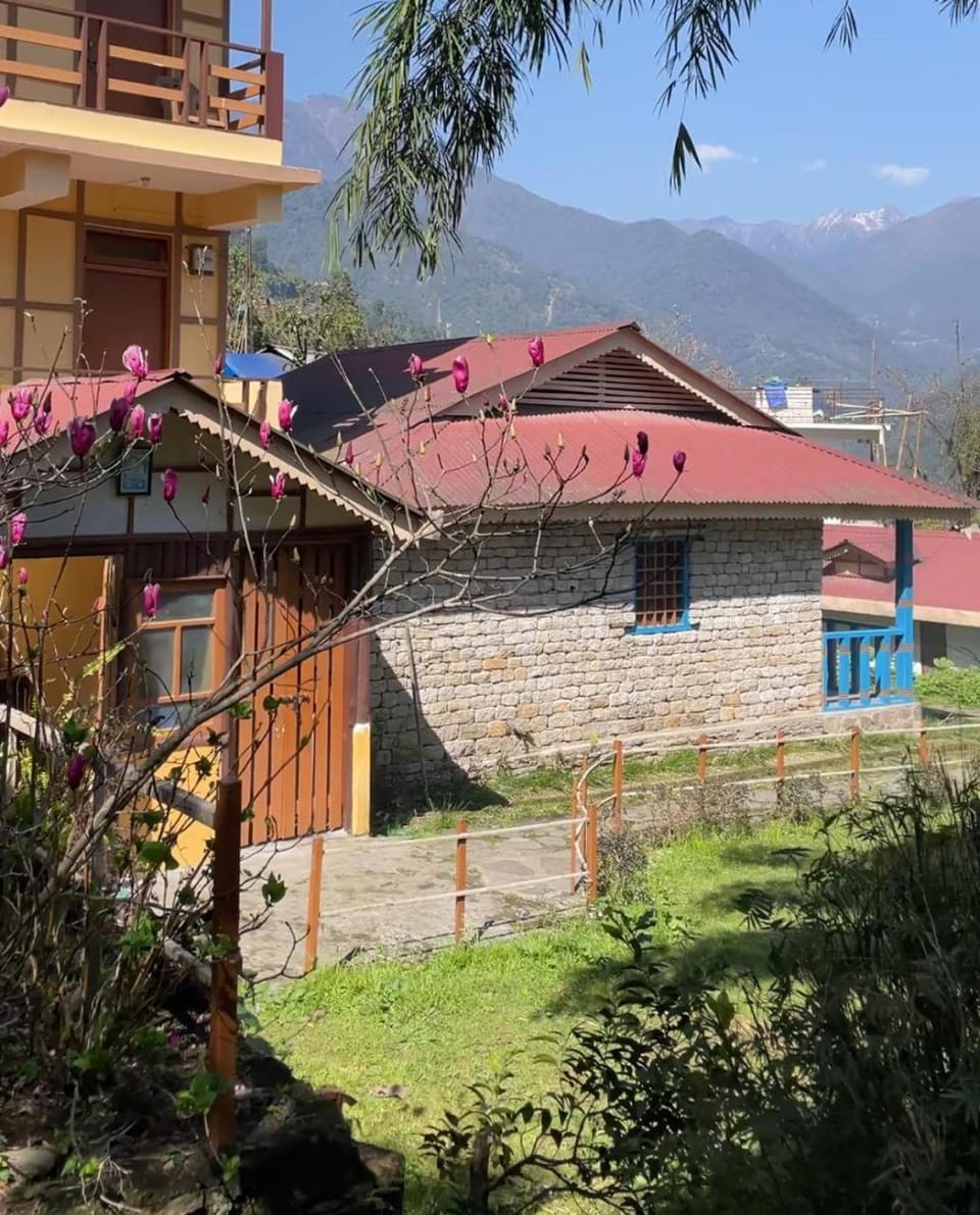 Property building, Garden, Garden view