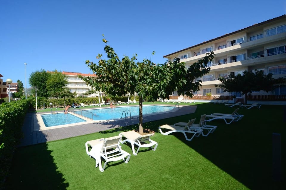 Patio, Garden, Garden view