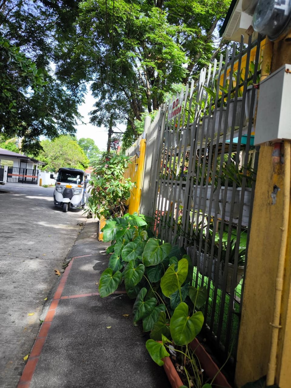 Quiet street view