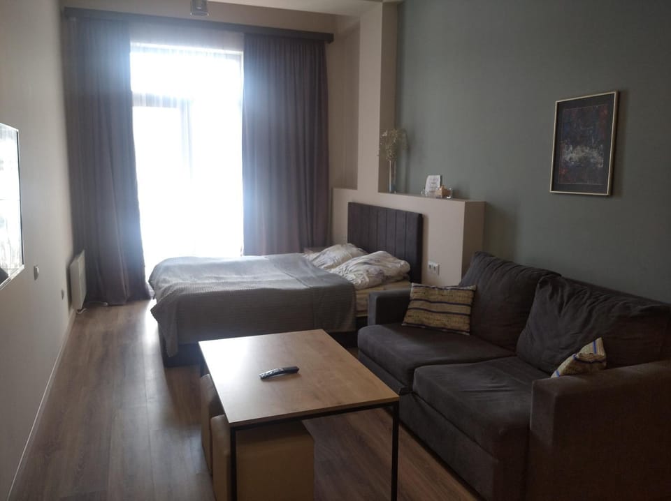Bed, Living room, Photo of the whole room, Seating area, Bedroom