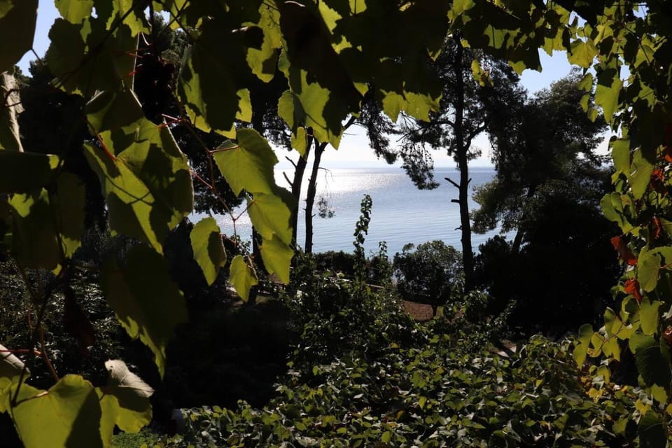 Natural landscape, Inner courtyard view