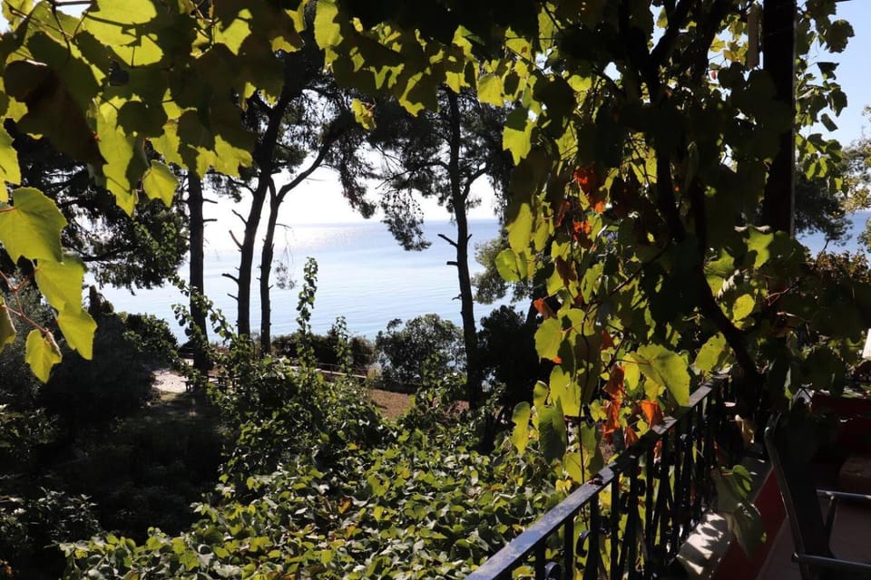 Sea view