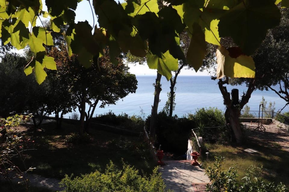 Garden, Sea view